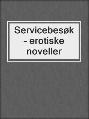 Servicebesøk – erotiske noveller